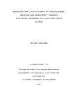 Optimization and learning algorithms for orthogonal frequency division multiplexing based dynamic spectrum access 