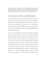 THE MECHANISM OF PPARN3 MEDIATED DOWN REGULATION OF SODIUM HYDROGEN EXCHANGER 1 (NHE1) GENE EPXRESSION AND ITS INHIBITION BY ESTROGEN RECEPTOR n1 4 