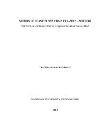 Studies of quantum spin chain dynamics and their potential applications in quantum information 
