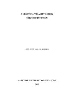 A genetic approach to study ubiquitin function 