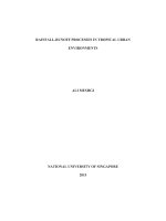 Rainfall runoff processes in tropical urban environments 