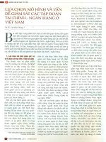 Lựa chọn mô hình và vấn đề giám sát các tập đoàn tài chính   ngân hàng ở việt nam 