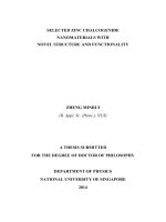 Selected zinc chalcogenide nanomaterials with novel structure and functionality 