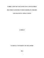 Fabrication of cost effective and flexible polymer nanostructured substrate for bio and magnetic application 