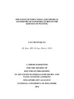 INFLUENCE OF STRUCTURAL AND CHEMICAL ASYMMETRY OF NANOSTRUCTURES ON THE KINETICS OF WETTING 