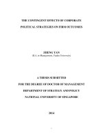 The contingent effects of corporate political strategies on firm outcomes 