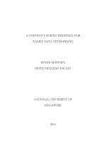 A content caching strategy for named data networking 