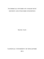 Numerical studies on collective motion and polymer statistics 