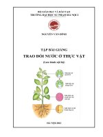 Tập bài giảng trao đổi nước ở thực vật