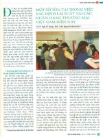 Một số tồn tại trong việc xác định lãi suất tại các ngân hàng thương mại việt nam hiện nay 