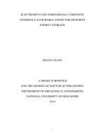 Electrospun one dimensional composite materials as durable anode for efficient energy storage 