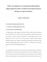 Studies on the molecular and cellular mechanisms underlying the process of learning and memory formation   body 