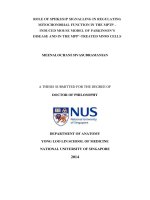 Role of SPHK2S1P signalling in regulating mitochondrial function in the MPTP  induced mouse model of parkinsons disease and in the MPP treated MN9D cells 