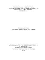 A sociological study of tamil entrepreneurship with special reference to up country tamil business in sri lanka 
