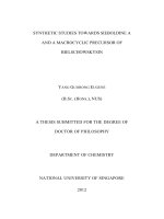 Synthetic studies towards sieboldine a and a macrocyclic precursor of bielschowskysin 