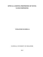 Optical limiting properties of novel nanocomposites 