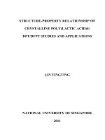 Structure property relationship of crystalline poly(lactic acid)s DFT DFPT studies and applications 