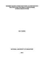 Segment based stereo matching algorithm with rectification for single lens bi prism stereovision system 