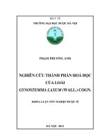 Nghiên cứu thành phần hoá học của loài gynostemma laxum (wall ) cogn