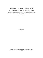 Identification of a new tumor suppressor pathway modulating rapamycin sensitivity in colorectal cancer 