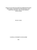 Surface functionalization of superparamagnetic iron oxide nanoparticles for potential cell targeting, imaging, and cancer therapy applications 
