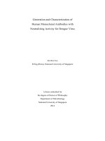 GENERATION AND CHARACTERIZATION OF HUMAN MONOCLONAL ANTIBODIES WITH NEUTRALIZING ACTIVITY FOR DENGUE VIRUS 