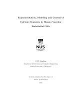 Experimentation, modeling and control of calcium dynamics in human vascular endothelial cells 