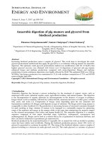 Anaerobic digestion of pig manure and glycerol from biodiesel production 