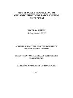 Multi scale modelling of organic photovoltaics system P3HTPCBM 