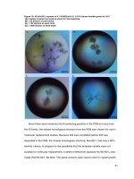 Structural characterization and biochemical analysis of ID2, an inhibitor of DNA binding 4 