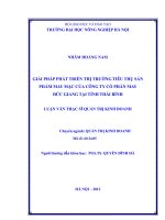 Giải pháp phát triển thị trường tiêu thụ sản phẩm may mặc của công ty cổ phần may đức giang tại tỉnh thái bình