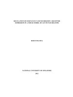 Regulation of substance p and neurokinin 1 receptor expression in a mouse model of acute pancreatitis 
