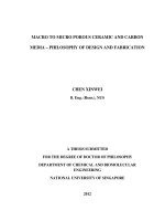 Macro to micro porous ceramic and carbon media   philosophy of design and fabrication 