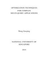 Optimization techniques for complex multi query applications 