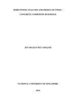 ROBUSTNESS ANALYSIS AND DESIGN OF STEEL CONCRETE COMPOSITE BUILDINGS 