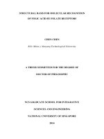 Structure basis for molecular recognition of folic acid by folate receptor 