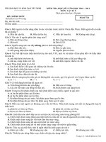 Vật lý 9   724 (HK II 2010   2011)