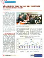 Vốn chủ sở hữu trong các ngân hàng tại việt nam, các vấn đề về quản trị vốn 