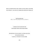 IMPACT OF PERCEIVED DYADIC COPING ON WELL BEING AND WORK ENGAGEMENT a MULTILEVEL MODERATED MEDIATION APPROACH 