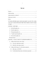 Sử dụng mô hình mạng thần kinh nhân tạo để ước lượng các yếu tố ảnh hưởng đến trốn thuế trong cơ chế tự khai tự nộp