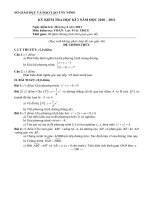 Đề thi HK II Toán 9 (2010-2011)