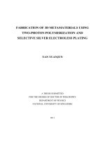 Fabrication of 3d metamaterials using two photon polymerization and selective silver electroless plating 