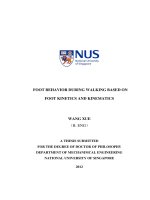 Foot behavior during walking based on foot kinetics and kinematics 