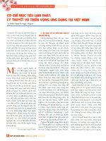 Cơ chế mục tiêu lạm phát   lý thuyết và triển vọng ứng dụng tại việt nam 