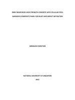 FIBER REINFORCED HIGH STRENGTH CONCRETE WITH CELLULAR STEEL SANDWICH COMPOSITE PANEL FOR BLAST AND IMPACT MITIGATION 