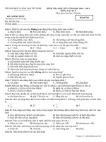 Vật lý 9   362 (HK II 2010   2011)