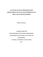 Analysis of electromigration behavior in giant magnetoresistance spin valve read sensors 