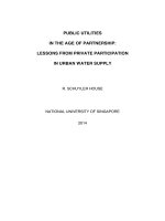Public utilities in the age of partnership lessons from private participation in urban water supply 