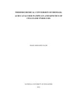 Thermochemical conversion of biomass acid catalysed pathways and kinetics of cellulose pyrolysis 