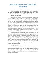 Đồng bằng sông cửu long đón cơ hội đầu tư mới